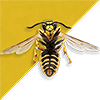 Wasptec, wasp nest removal leeds, logo image